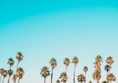 Photo cryolipolysis experiences