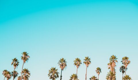 Photo cryolipolysis experiences