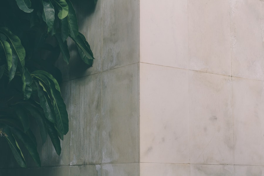 Photo eetstrategieën