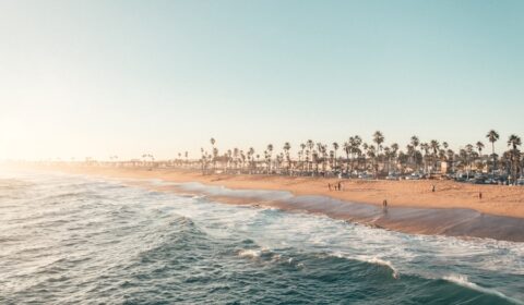 Photo calorie burning