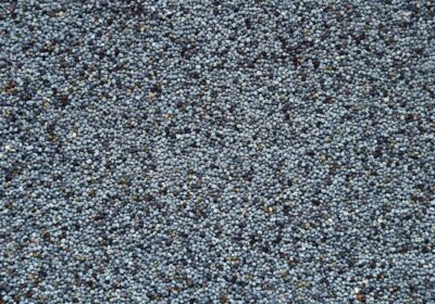 Photo Protein and fiber