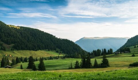 Photo Bewegen op gevoel